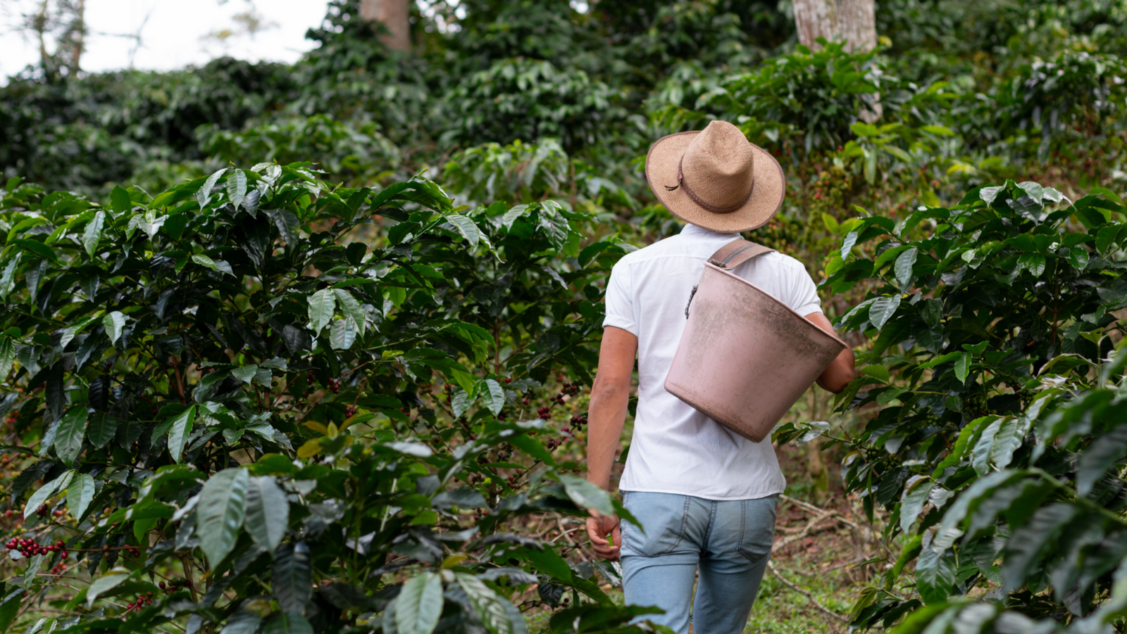 Time to Travel and we’re off to Africa!