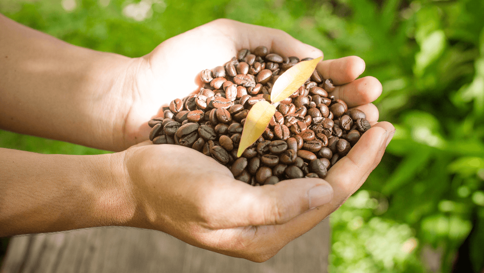 More Globetrotting…