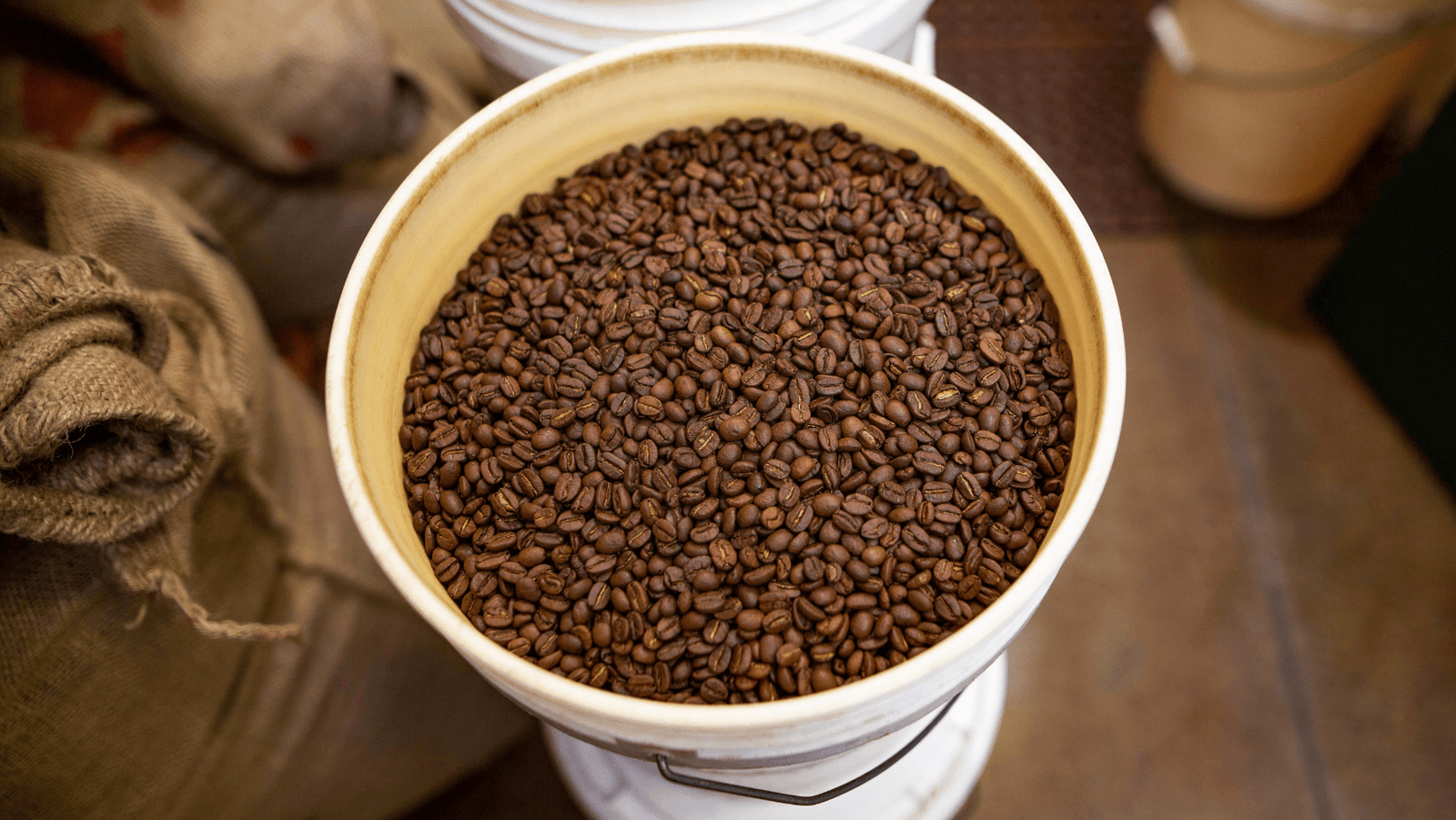 A Pause in our Travels