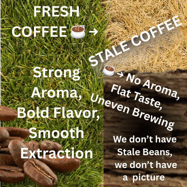 Fresh Coffee vs. Stale Coffee: Can You Taste the Difference?