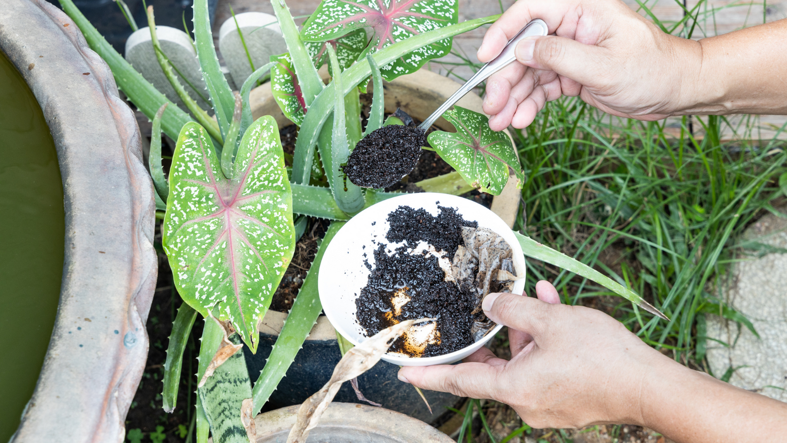 Grinds are Grrrrrreat!