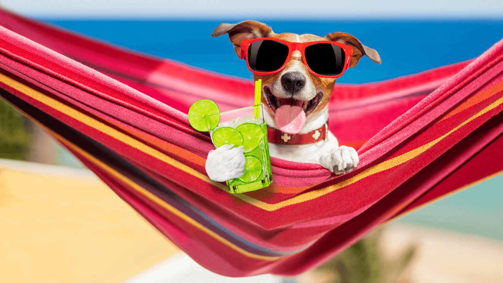 July 27 th is National Refreshment Day!