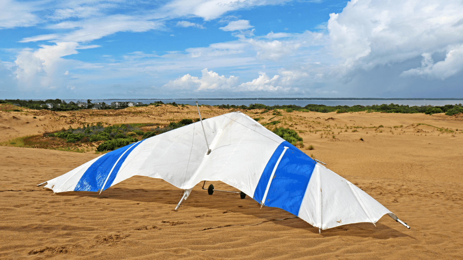 National Kite Flying Day!!!